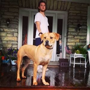 Meet your Posher, Billy